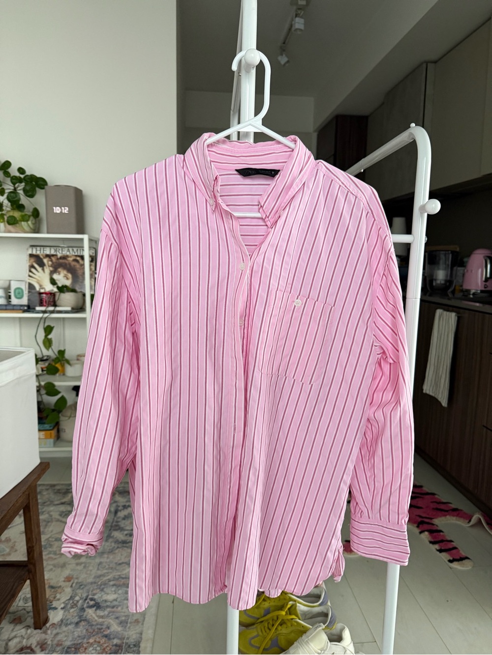Zara Pink Striped Button-Up Shirt